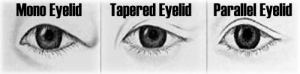 https://kaykayyay.wordpress.com/wp-content/uploads/2012/08/types-of-eyelids.jpg?w=300